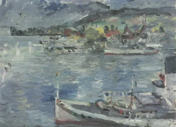 Lac de Lucerne en matinée